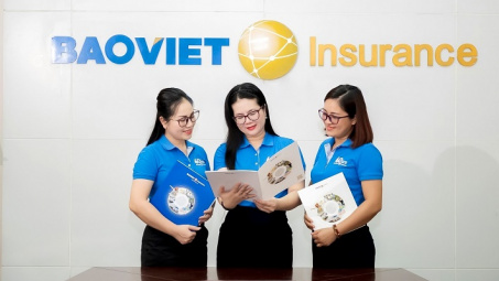 Bảo hiểm bảo lãnh và bảo hiểm tín dụng: Cwin800 tỷ lệ kèo World Cup 2026 liệu đã nắm bắt được thời cơ?