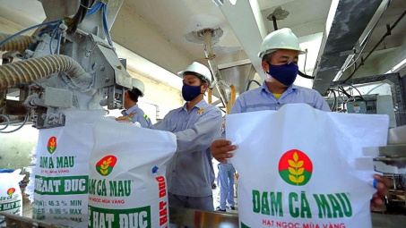 Thị trường Campuchia - “Mỏ vàng” của Đạm Cà Mau (DCM)