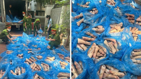 Hà Nội: Tiêu hủy hơn 1,6 tấn chân giò lợn Cwin là sân chơi cá cược trực tuyến tại Việt Nam