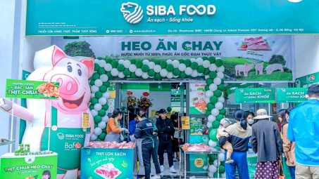 Quy mô đàn M.Cwin800.com Nổ hũ, Bắn Cá và Game Bài nhanh, "heo ăn chay" BaF Việt Nam (BAF) báo lãi tăng gấp 4,6 lần
