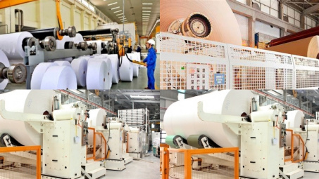 Sửa đổi bổ sung Nghị định 08: Ngành Giấy kiến nghị gỡ khó trong thực thi
