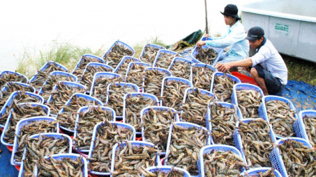 Cwin com sòng bạc trực tuyến thủy sản trong quý III/2024 tăng gần 13%, đạt 2,76 tỷ USD
