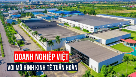 Cwin800 tỷ lệ kèo World Cup 2026 Việt với mô hình kinh tế tuần hoàn