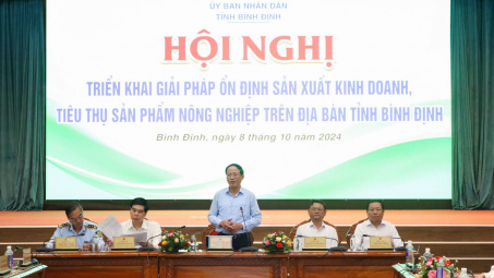 Bình Định: Tìm giải pháp ổn định Nền tảng hàng đầu cung cấp Cwin com kinh doanh, tiêu thụ sản phẩm Cwin.com link không chặn