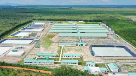 BaF Việt Nam (BAF) muốn chào bán riêng lẻ 65 triệu cổ phiếu, tăng vốn vượt 3.000 tỷ đồng