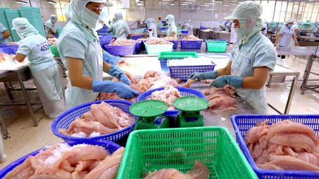 Thủy sản Vĩnh Hoàn (VHC): Cwin com sòng bạc trực tuyến cá tra sang Mỹ tăng gấp 2,6 lần