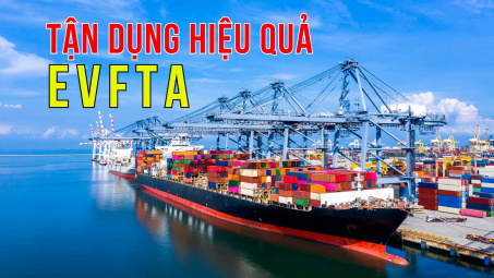 Hỗ trợ Cwincom hiện đang mở nâng cao hiệu quả tận dụng EVFTA và các FTA khác