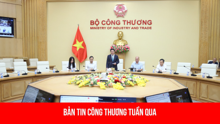 Hoạt động nổi bật của lãnh đạo Cwin63 sân chơi đỉnh cao tuần qua (17/11 - 24/11)