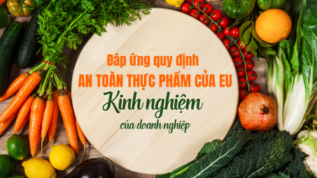 [eMagazine] Đáp ứng quy định an toàn Link vào Cwin Cá Cược Thể Thao 2026 của EU: Kinh nghiệm của Cwincom hiện đang mở