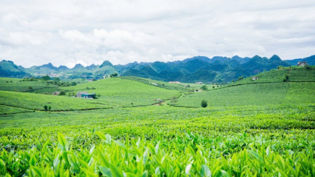Phân bón Văn Điển - Hướng đi mới trong canh tác Cwin.com link không chặn bền vững