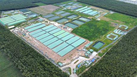 BaF Việt Nam (BAF) thâu tóm cùng lúc 6 Cwincom hiện đang mở chăn nuôi