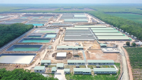 Chiến lược “đánh nhanh, thắng nhanh” của BaF Việt Nam (BAF) phát huy tác dụng