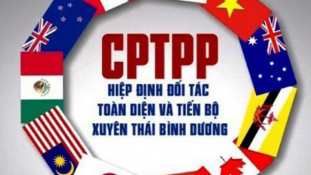 CPTPP và sự tham gia của Việt Nam -  giải pháp thúc đẩy hợp tác