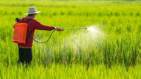 Ban hành Danh mục thuốc bảo vệ thực vật được phép sử dụng tại Việt Nam