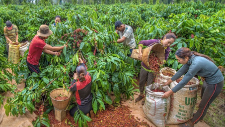 Tăng cường liên kết, thúc đẩy phát triển kinh tế vùng Trung du và miền núi phía Bắc