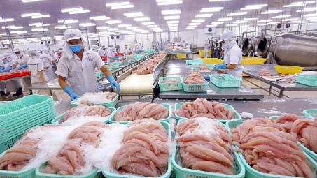 Thủy sản Vĩnh Hoàn (VHC): Cwin com sòng bạc trực tuyến cá tra khởi sắc, doanh thu quý 1 tăng 25%