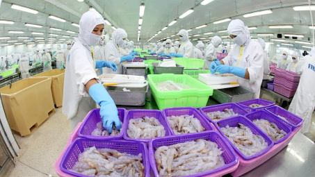 Thực phẩm Sao Ta (FMC): Cwin com sòng bạc trực tuyến tôm hồi phục mạnh, lãi quý 1 tăng 14%