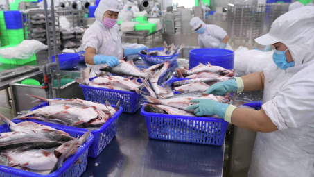 Giá bán lẫn sản lượng cùng giảm, Thủy sản Vĩnh Hoàn (VHC) báo lãi “đi lùi” 16%