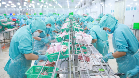 Tập đoàn Sao Mai (ASM): Chốt chia cổ tức năm 2022 và 2023 bằng cổ phiếu