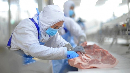 Giá heo hơi hồi phục, BAF Việt Nam (BAF) báo lãi tăng gấp 38 lần