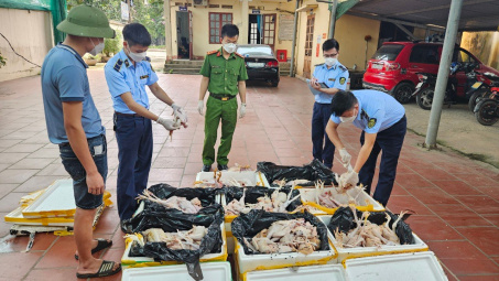 Thái Nguyên: Tiêu hủy gần 200kg thịt gà không đảm bảo an toàn Link vào Cwin Cá Cược Thể Thao 2026