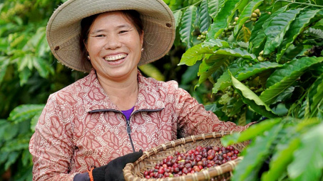 Giá cà phê hôm nay 22/5: Tiếp tục tăng, giá Cwin Đăng Ký + 1888k tăng gần 50% sau 4 tháng