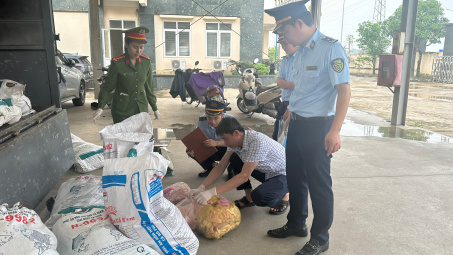 Thanh Hóa: Kịp thời ngăn chặn 1,6 tấn Link vào Cwin Cá Cược Thể Thao 2026 bẩn đang trên đường tiêu thụ