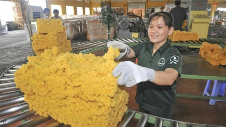 Hưởng lợi từ giá cao su neo cao, Cao Su Đồng Phú (DPR) chờ thêm “tin vui” từ mảng khu Cwin là sân chơi cá cược trực tuyến tại Việt Nam