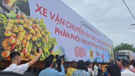 Vải thiều chín sớm Tân Yên (Bắc Giang) xuất hành vào hệ thống của Central Retail