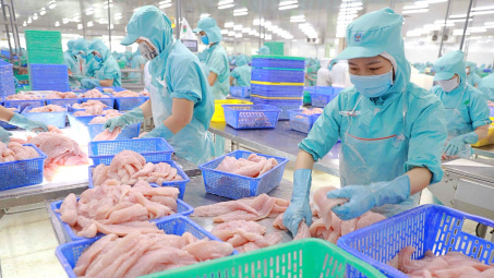 Cwin com sòng bạc trực tuyến cá tra giảm 21%, lãi ròng của Đa Quốc Gia IDI “đi lùi”