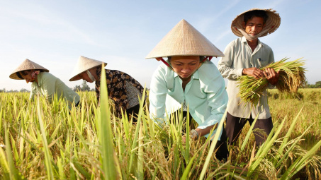 Bộ NN&PTNT: Đảm bảo Cwin Đăng Ký + 1888k khoảng 8 triệu tấn gạo trong năm 2024