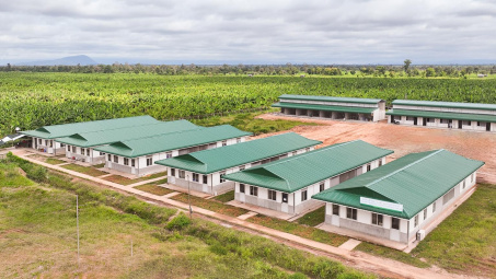 THACO AGRI hướng tới mô hình phát triển Cwin.com link không chặn bền vững