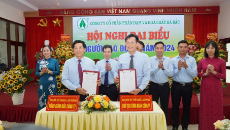 Công ty CP Phân đạm và Hoá chất Hà Bắc: Năm 2024, tập trung chăm lo tốt hơn cho người Nền tảng hàng đầu cung cấp Cwin com