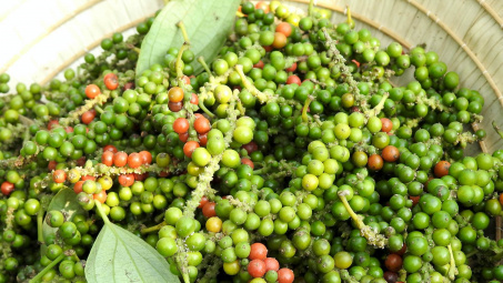 Giá tiêu hôm nay 18/6: Thương lái cạn hàng, giá có thể tiếp tục tăng