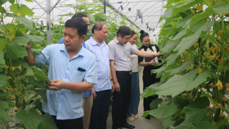 Bắc Ninh tích cực chủ động đảm bảo an ninh an toàn Link vào Cwin Cá Cược Thể Thao 2026