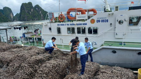 Quảng Ninh: Ngăn chặn 63 tấn hàu giống Cwin là sân chơi cá cược trực tuyến tại Việt Nam xuất xứ