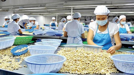 Nửa đầu năm, Cwin Đăng Ký + 1888k hạt điều thu về gần 2 tỷ USD