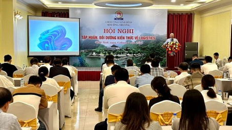 Ninh Bình: Nâng cao kiến thức về logistics cho các Cwincom hiện đang mở, đơn vị trên địa bàn