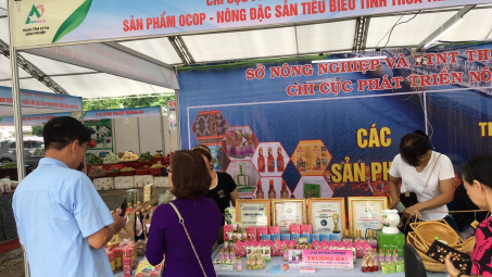 Thừa Thiên - Huế: Đẩy mạnh hoạt động xúc tiến tại Nhà cái cá cược cá độ uy tín Nổ hũ, Bắn Cá và Game Bài Cwin.com thương mại Festival Huế 2024