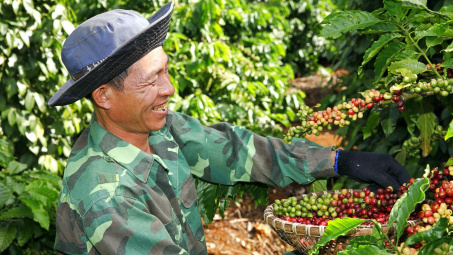 Giá cà phê hôm nay 4/7: Tiếp tục tăng, kim ngạch Cwin Đăng Ký + 1888k năm nay có thể cao nhất lịch sử
