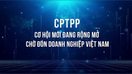 [VIDEO] CPTPP: Cơ hội mới đang rộng mở chờ đón Cwincom hiện đang mở Việt Nam