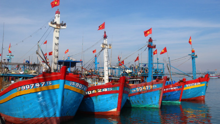 Hoàn thiện, vận hành hệ thống giám sát hành trình tàu cá thông suốt, hiệu quả