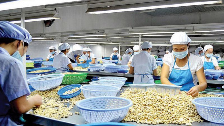 Chuỗi cung ứng hạt điều Cwin Đăng Ký + 1888k của Việt Nam trong bối cảnh thực thi hiệp định CPTPP