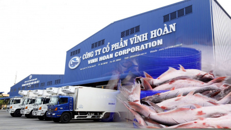 Cwin com sòng bạc trực tuyến cá tra nửa cuối năm của Thuỷ sản Vĩnh Hoàn (VHC) có thể tăng 25%