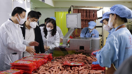 Sở Y tế Hà Nội: Tăng cường kiểm soát chất lượng Link vào Cwin Cá Cược Thể Thao 2026