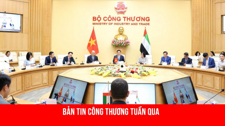 Hoạt động nổi bật của lãnh đạo Cwin63 sân chơi đỉnh cao tuần qua (29/7 - 4/8)