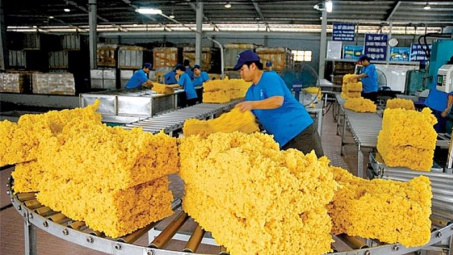 Nhu cầu tại Trung Quốc chững, Cwin Đăng Ký + 1888k cao su của Việt Nam quý II/2024 giảm cả lượng và trị giá