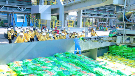 Đạm Cà Mau (DCM) linh hoạt tăng cường Cwin Đăng Ký + 1888k, khai thác loạt thị trường mới