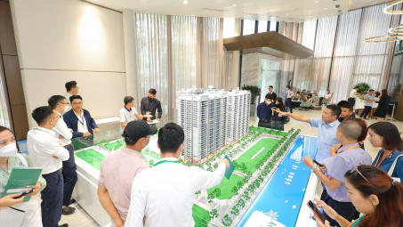 Hai con Chủ tịch Bất động sản Phát Đạt (PDR) chấp nhận cắt lỗ hàng triệu cổ phiếu PDR?