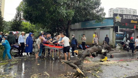Hà Nội: Cứu chữa miễn phí người bị nạn do ảnh hưởng của bão số 3